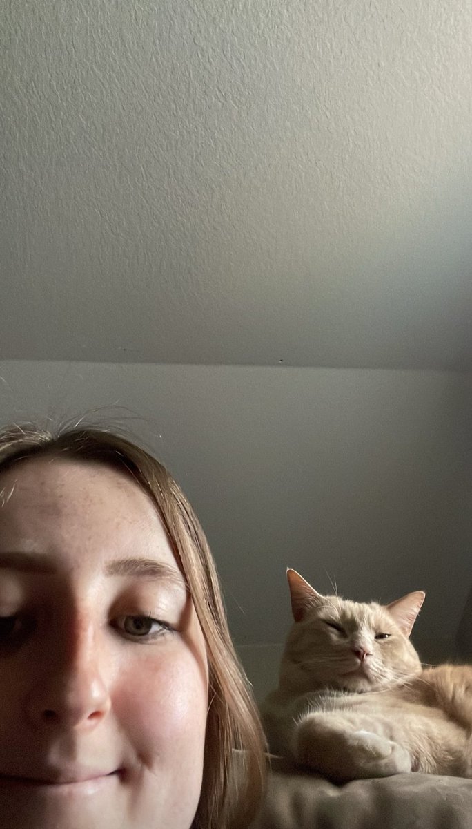 Cherry18Cupcake's tweet photo. @lilsimsie cat name reveal pls https://t.co/OqDu8ironR