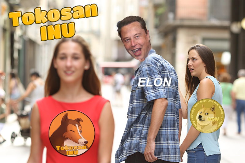 alishacrypto1's tweet photo. #TokosanINU @tokosaninu is starting to turn heads @elonmusk @travladd @1goonrich @BillyM2k 
the usual cliche its still early to buy and holders are holding the chart! https://t.co/prwYjEhpAF