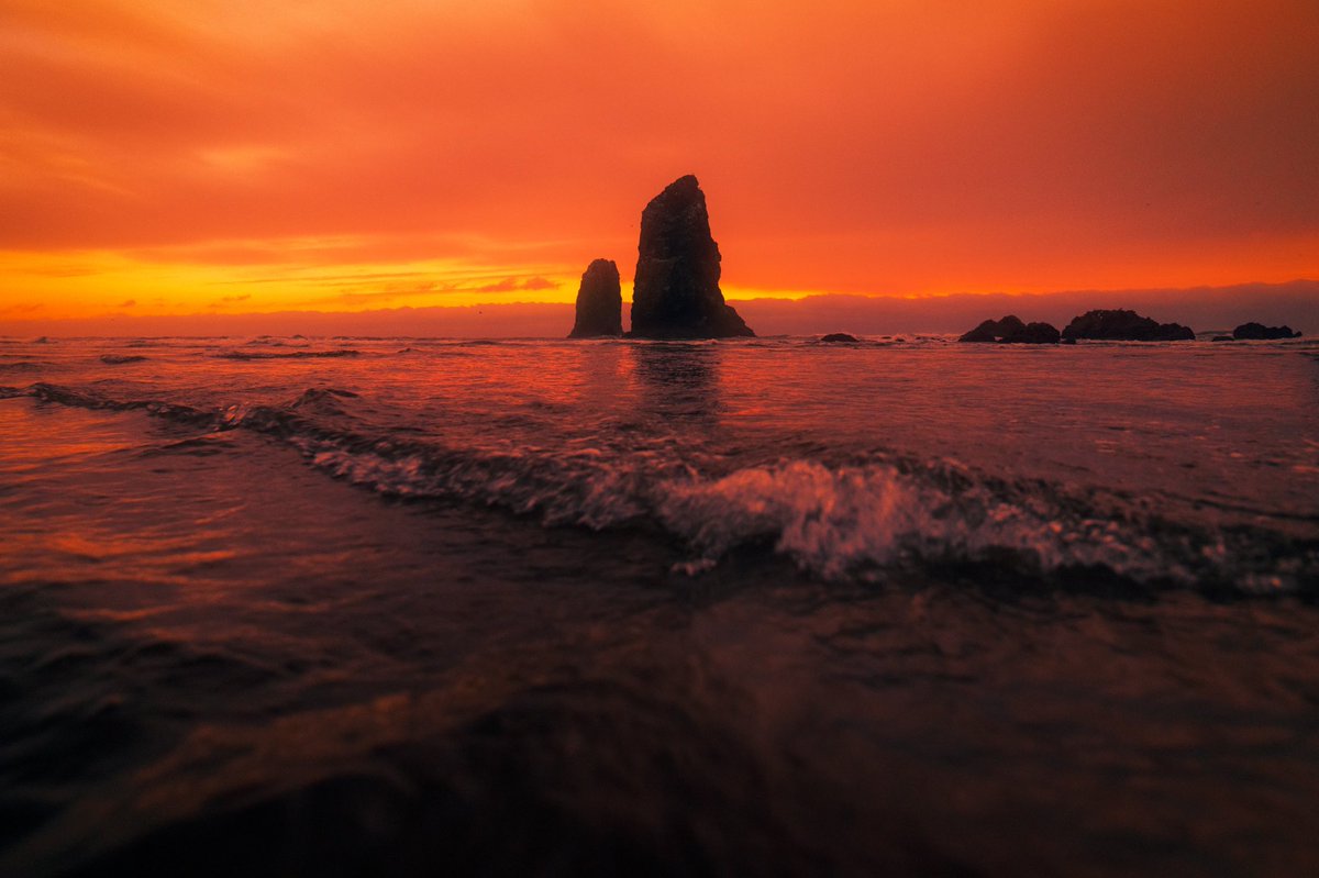 ArmandNour's tweet photo. Cannon Beach sunsets are always the best.
#NFT #NFTCommunity #nftart #NFTdrop #nftphotography https://t.co/UBmU9oPbHh
