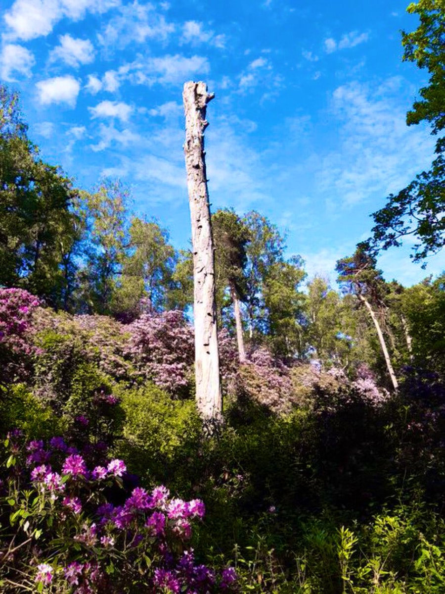 ilse janssens tweet media