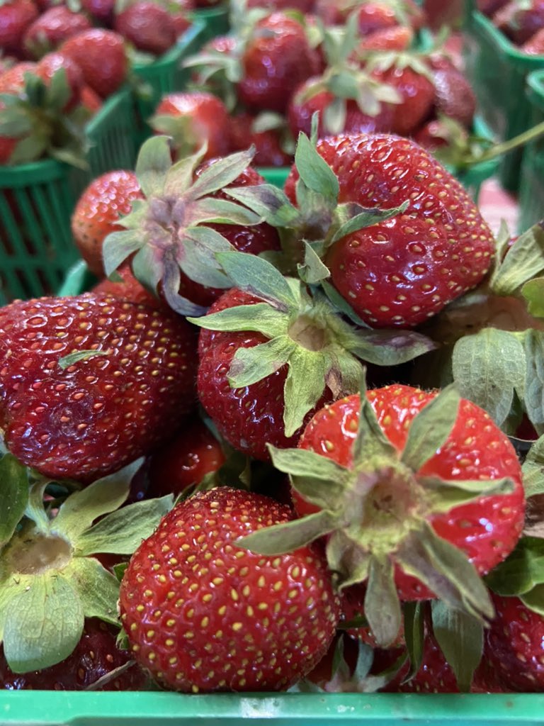 It’s time 🍓🍓🍓