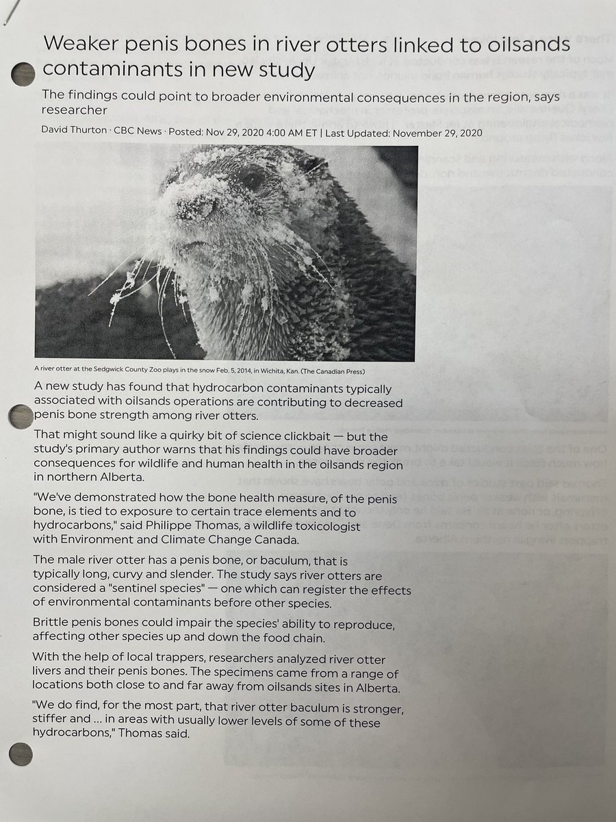 Samantha Kelly tweet media