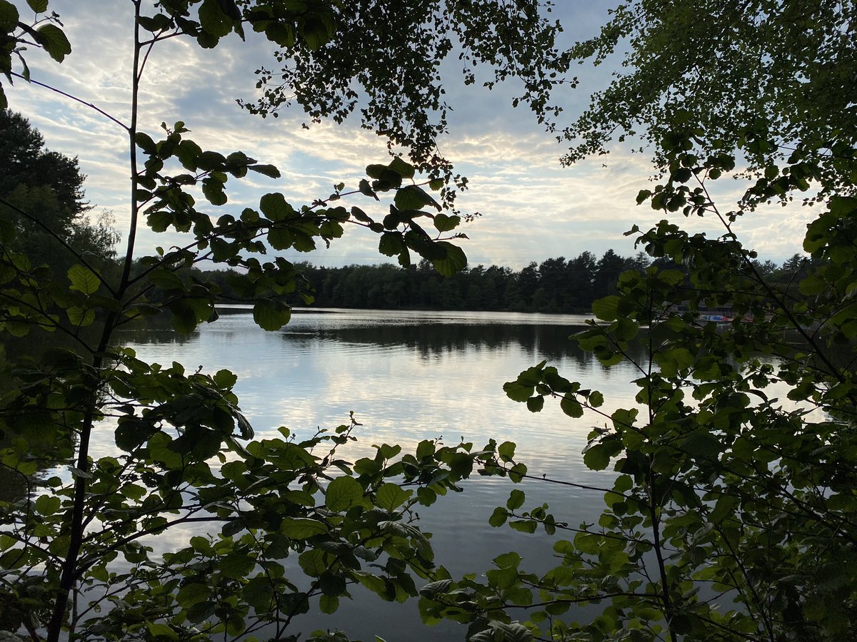 #MyCP #SherwoodForest