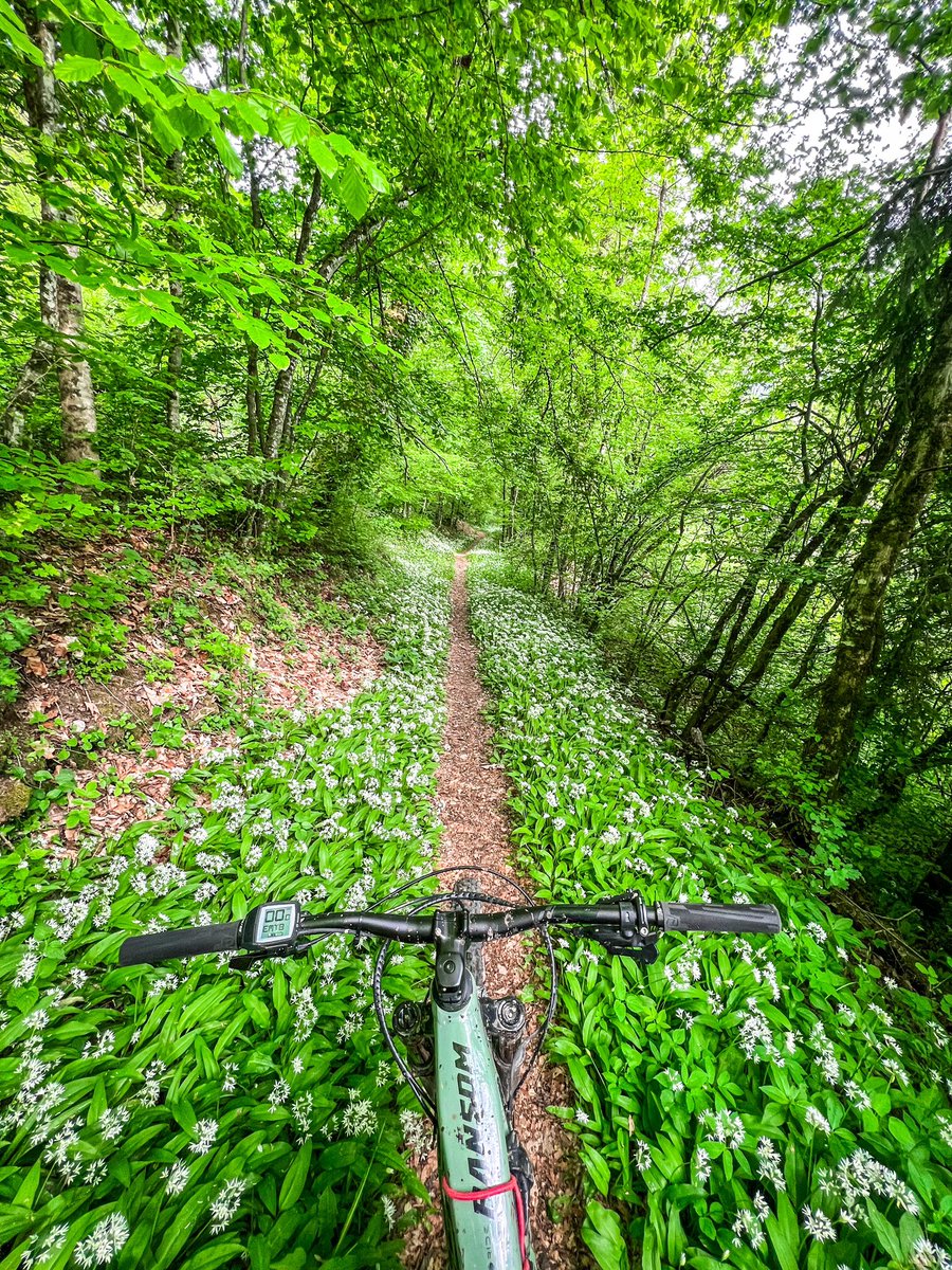 vmuffatjeandet's tweet photo. Validation des activités « alternatives » pour la cheville ☑️🦿😜🤩 #EnMaiFaisCeQuilTePlait #LetsGoBiking #LetsGoSurfing #RideYourLife
@ScottSportsFR @Alpinawatches @ColmarSport https://t.co/mBcekTgNVo