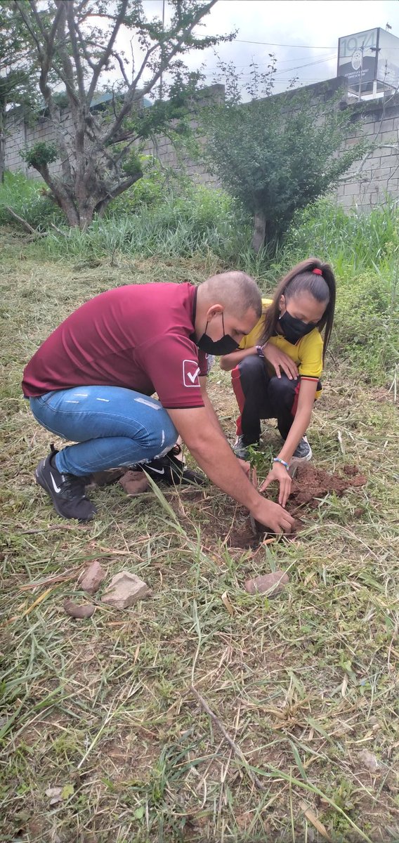 #2junio #VenezuelaComunal en el marco de la celebración #díadelÁrbol el personal y Estudiantes/Atletas llevaron a cabo demostración deportiva y siembra de árboles <a href="/NicolasMaduro/">Nicolás Maduro</a> <a href="/_LaAvanzadora/">Yelitze Santaella</a> @MPPEDUCACION @ZonaEducTachira <a href="/DGEFDMPPE/">Dirección General De Educación Física Y Deporte</a> <a href="/FreddyBernal/">Freddy Bernal</a> <a href="/arismendihenry1/">arismendihenry</a>