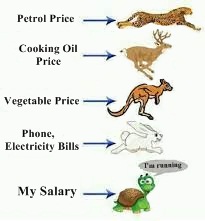 abid_aak's tweet photo. These asshole "so called" leaders and their bull💩 agenda is not pro Pakistan. They will face the wrath of people and the Maker InshaAllah!
#petrol #inflation #RS30 #امپورٹڈ_گورنمنٹ_نامنظور https://t.co/SZho64QrJb