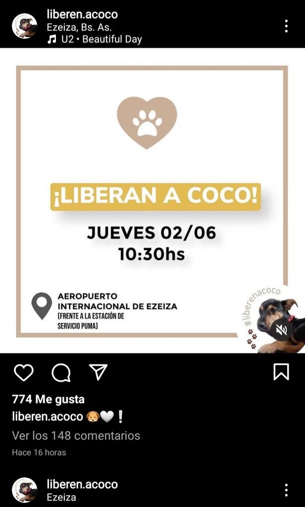TvVallez's tweet photo. #CocoACasa !!!
Esto es del Instagram de su Papá @Javiergavidia Ya lo vacunaron, hoy #02Jun se van a casa en #CORDOBA #Argentina 🇦🇷🏠❤🐕🏠🇦🇷🌞👏🏻👏🏻😍 Vean las imagenes q son muy bonitas. 
#CocoLibre 👋🏻🐕❤😉💋
@elcampito 
#CocoPresidente 😍🐕❤😉❤🏠🇦🇷🇦🇷🇦🇷🇦🇷🇦🇷🇦🇷🇦🇷🌞🏠🐕❤👏🏻👏🏻 https://t.co/eSwbFvsd7B