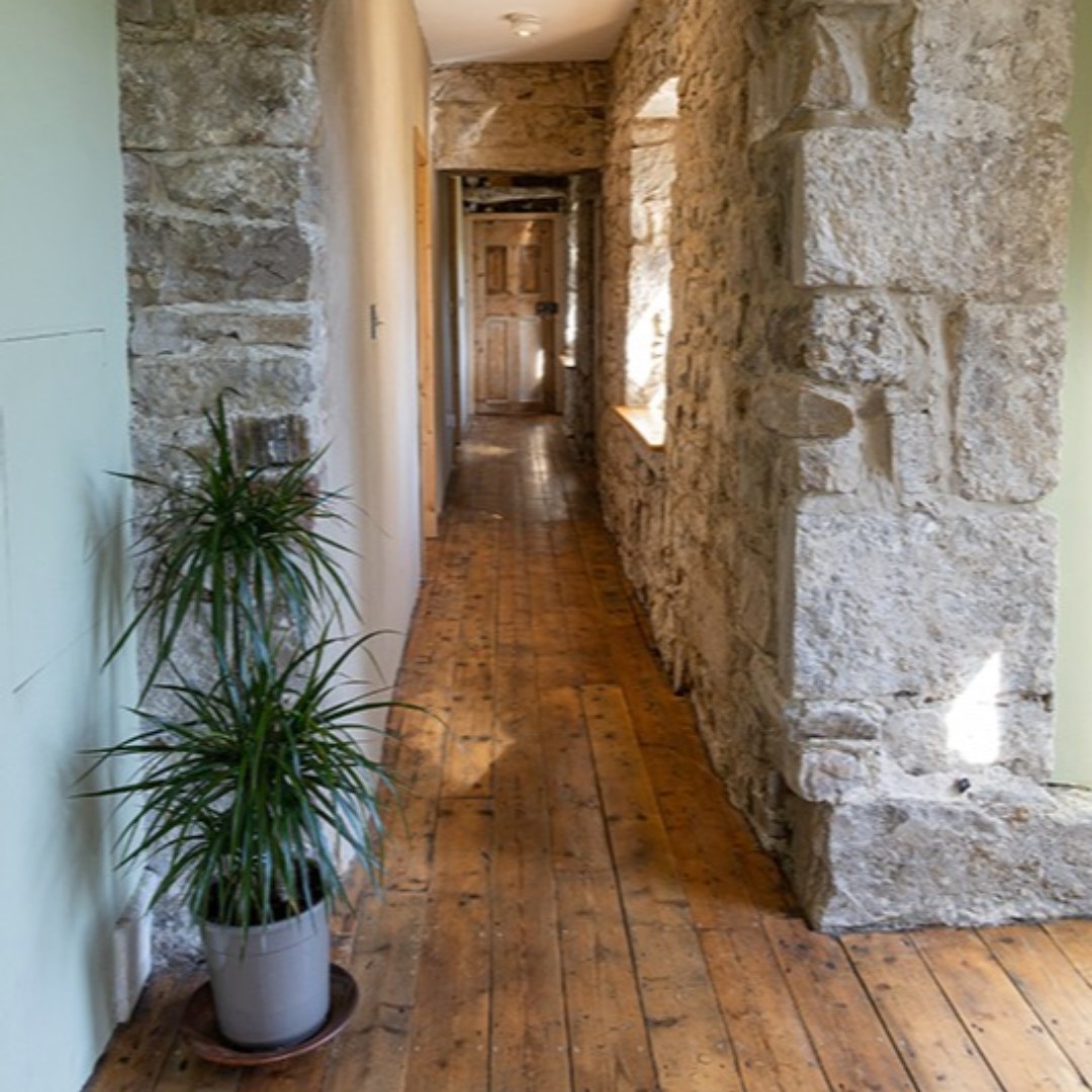 SPAB Ireland tweet media