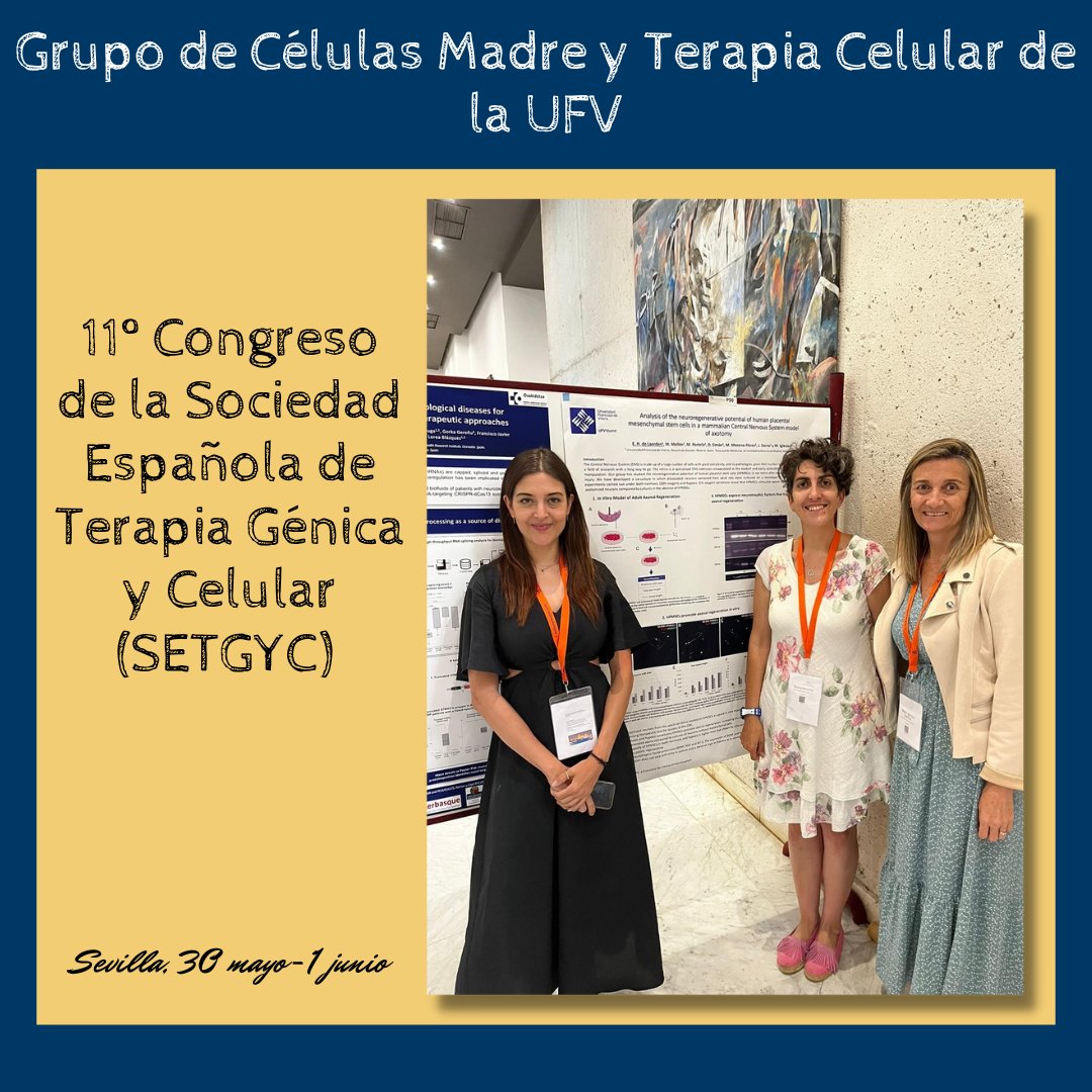 experimentufv's tweet photo. El grupo de Células Madre y Terapia Celular de la UFV ha participado en el 11º Congreso de la Sociedad Española de Terapia Génica y Celular (SETGYC), que se ha celebrado en Sevilla del 30 de mayo al 1 de junio
#ufv #experimentalesufv #celulasmadre #congreso #sevilla #setgyc https://t.co/meItMgKnvq