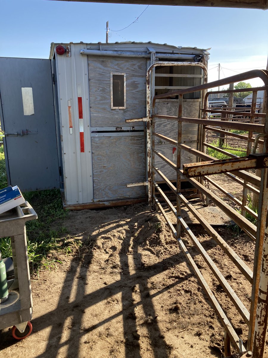 Frank Beel tweet media