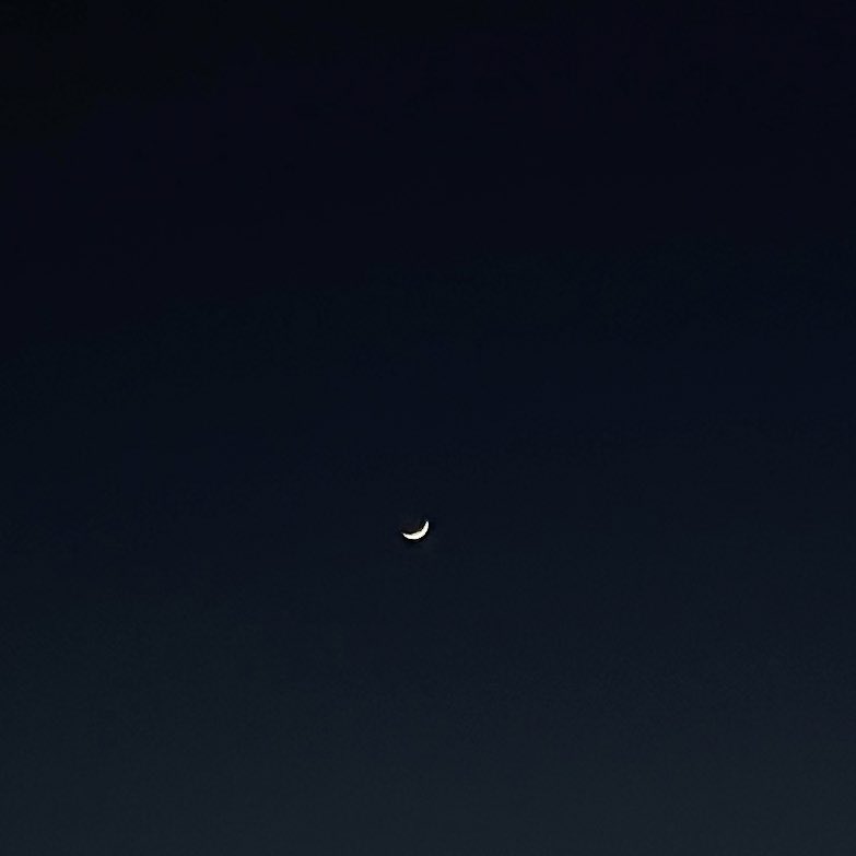 Miku_0215_'s tweet photo. 🌙 https://t.co/ScgRSCrh5J