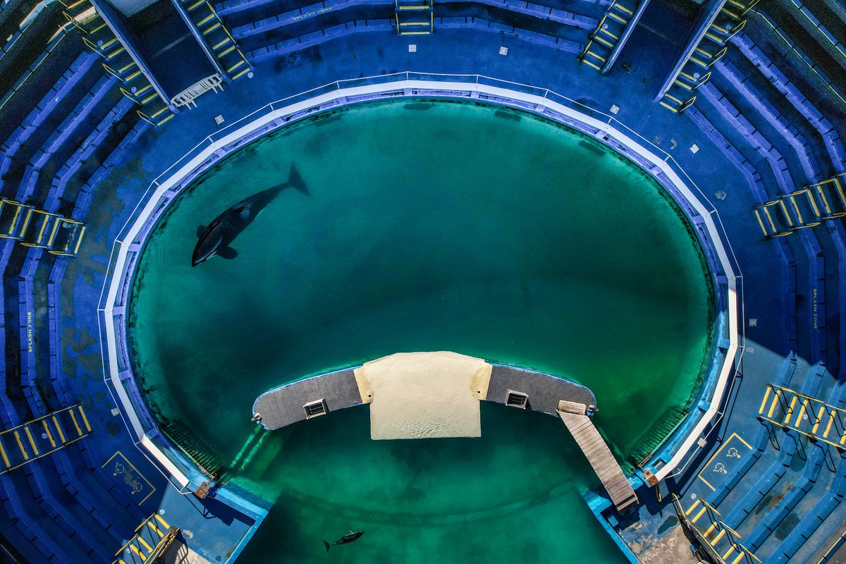 Press release: A good first step. An independent health assessment of Sk'aliCh'elh-tenaut has been conducted - mailchi.mp/sacredsea.org/…