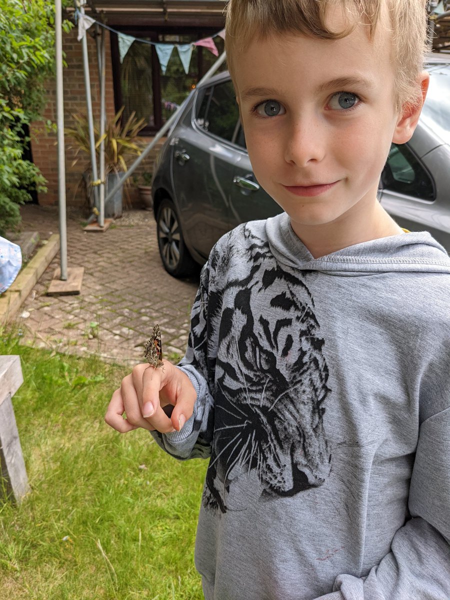 TheEVFamily1's tweet photo. Butterfly release day 🦋 #butterfly https://t.co/ZK5LsysNC2