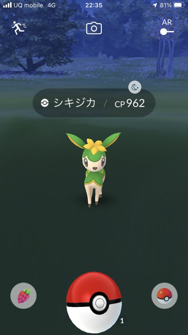 けにち V Twitter 一瞬色違いと思ったら 夏verに変わったのね ポケモンgo Pokemongo ポケgo シキジカ T Co 3phwomvypp Twitter