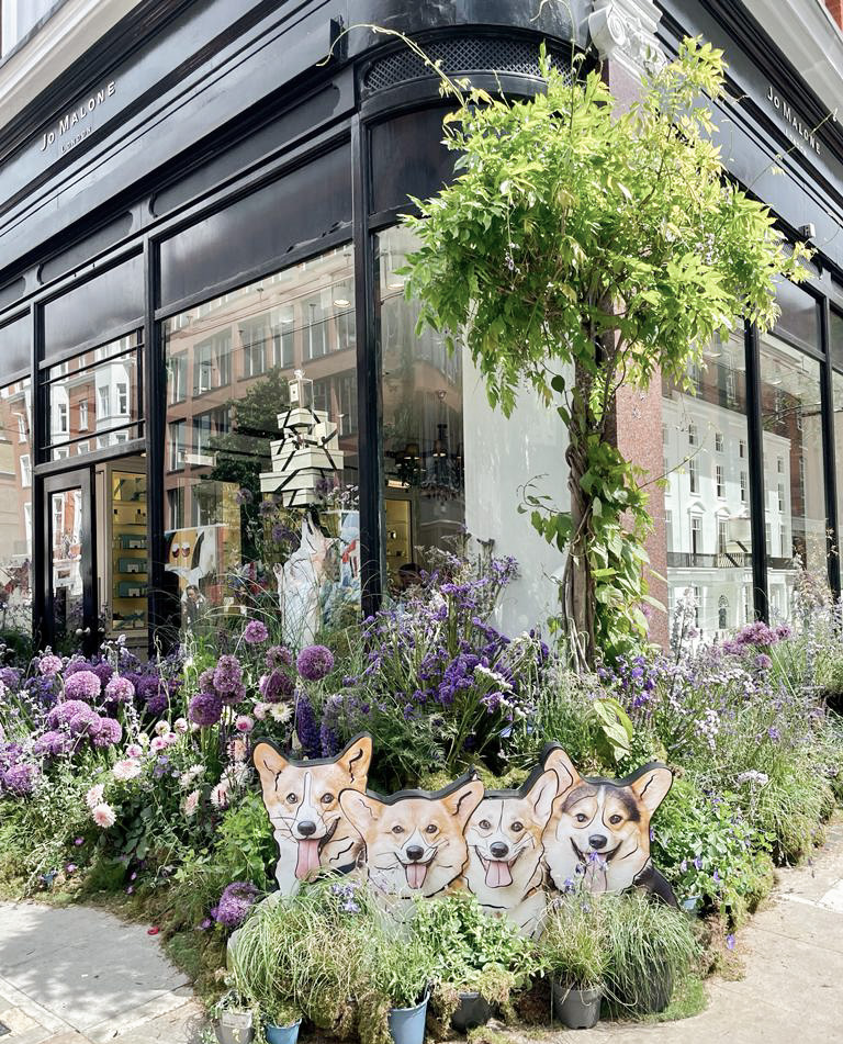 London is ready for Her Majesty's Platinum jubilee this weekend, in true, fabulous London style. 🌸🇬🇧 #LondonJubileeWeekend