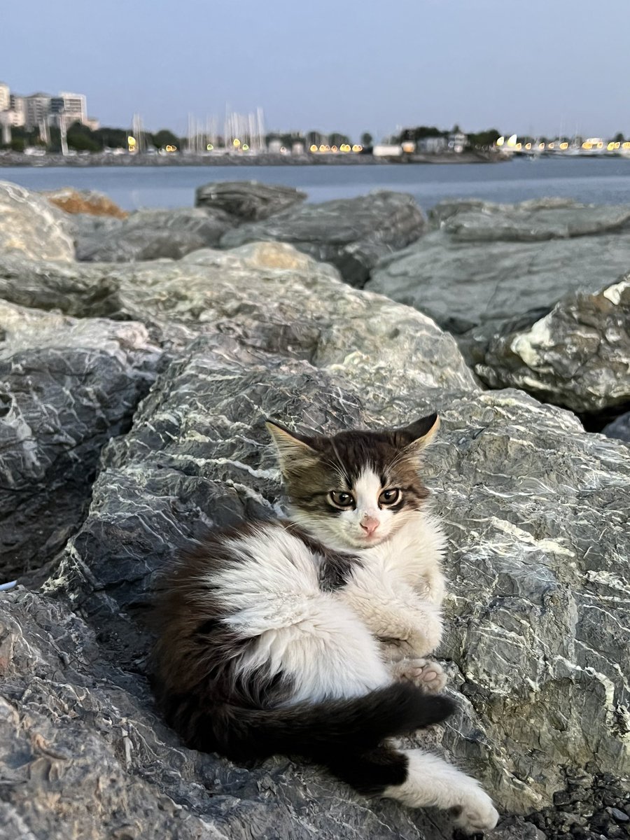 dün dünyanın en güzel fotoğrafını çektim