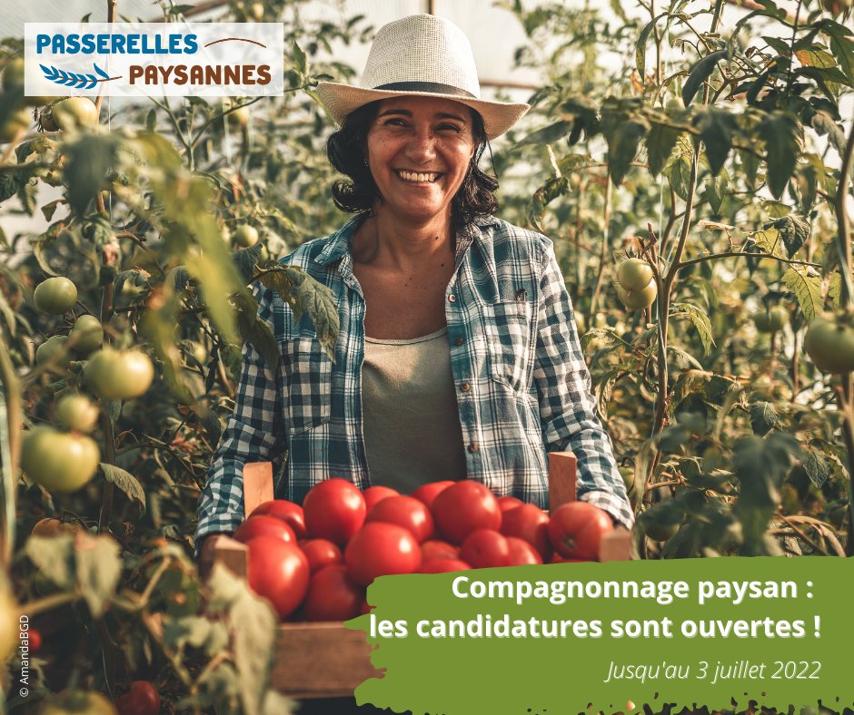 L'appel à candidature pour les stages en compagnonnage paysan est lancé ! A travers cette expérience, SOL et ses partenaires accompagnent les futurs paysans dans leur chemin vers l'installation. Plus de détails ici👉bit.ly/3NOJJu1 #agriculture #formation #paysans #bio
