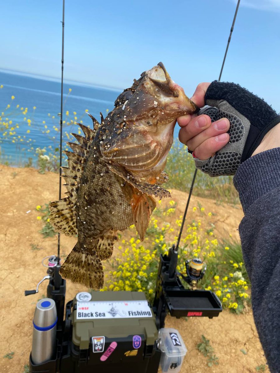 _ajimaster's tweet image. #blackseaajing #microgame #rockfishing #Crimea #Sevastopol #ajing #metaljig