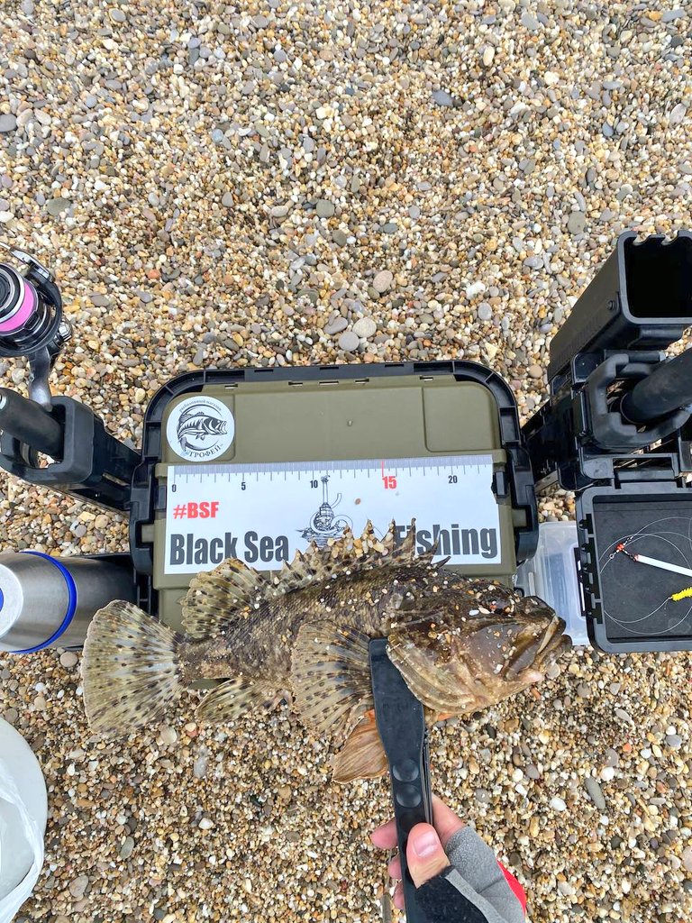 _ajimaster's tweet image. #blackseaajing #microgame #rockfishing #Crimea #Sevastopol #ajing #metaljig