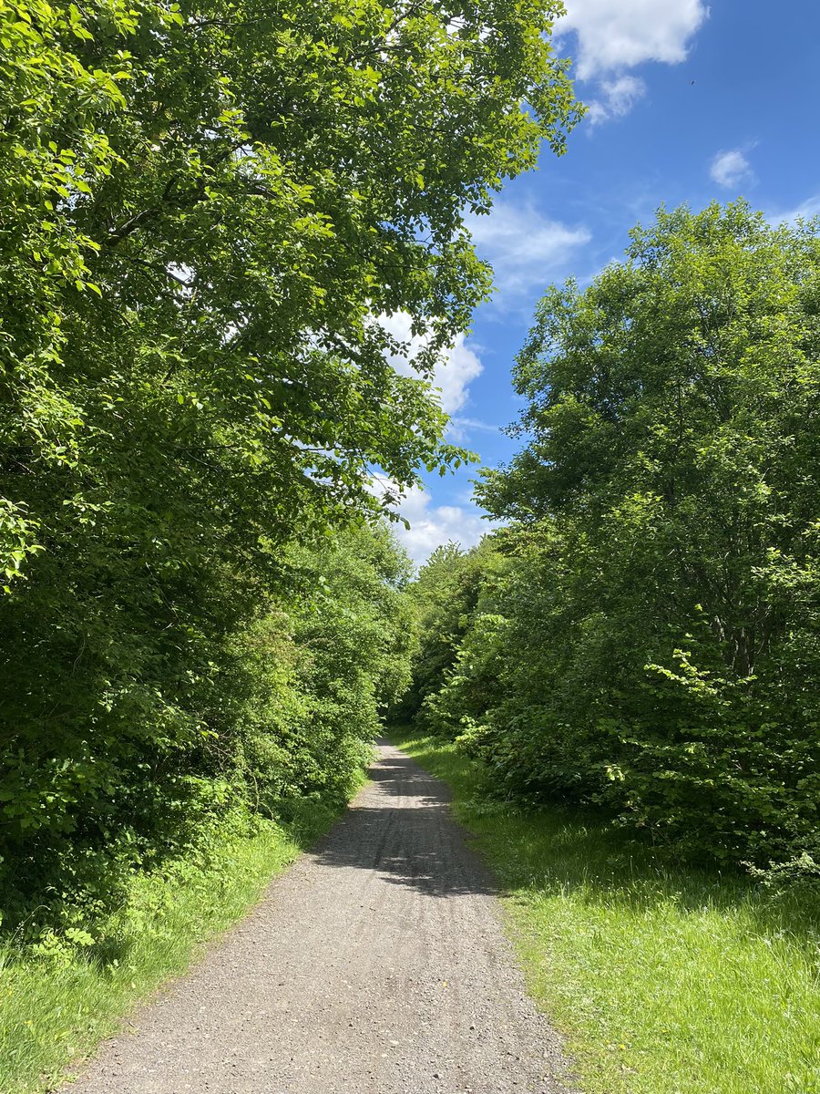 _JenniferFish's tweet photo. Kicking off the #plattyjubes with 7km in the bag for @DayOneTrauma 100km in June challenge @PIandMedNeg @irwinmitchell @Community_IM #fundraising #100kminJune https://t.co/OlvbREabyX