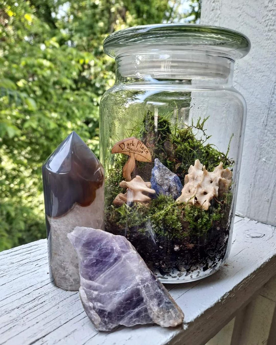 DarkPlaceStudio's tweet photo. What's better then a sign? A mushroom sign! 

#mushrooms #outdoors #Crystal #plants #SmallBusiness #terrarium #cottagecore https://t.co/XKlcIo66gt
