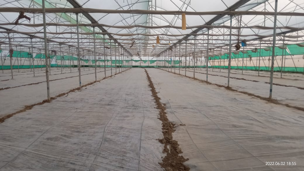 PCVerma12345's tweet photo. Rivulis customers guided to use natural resources #solarization to control soil borne pests and diseases specially #rootknotnematode, the way to reduce cost of cultivation and no doubt #GrowBeyond #RivulisIndia #Rivulis #PMKSY #greenhouse #Horticulture https://t.co/GHusFSPLzb