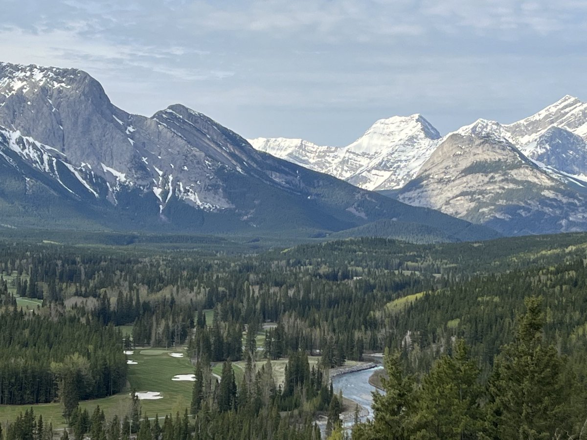 Steve Patterson (not a parody)🇺🇦 tweet media