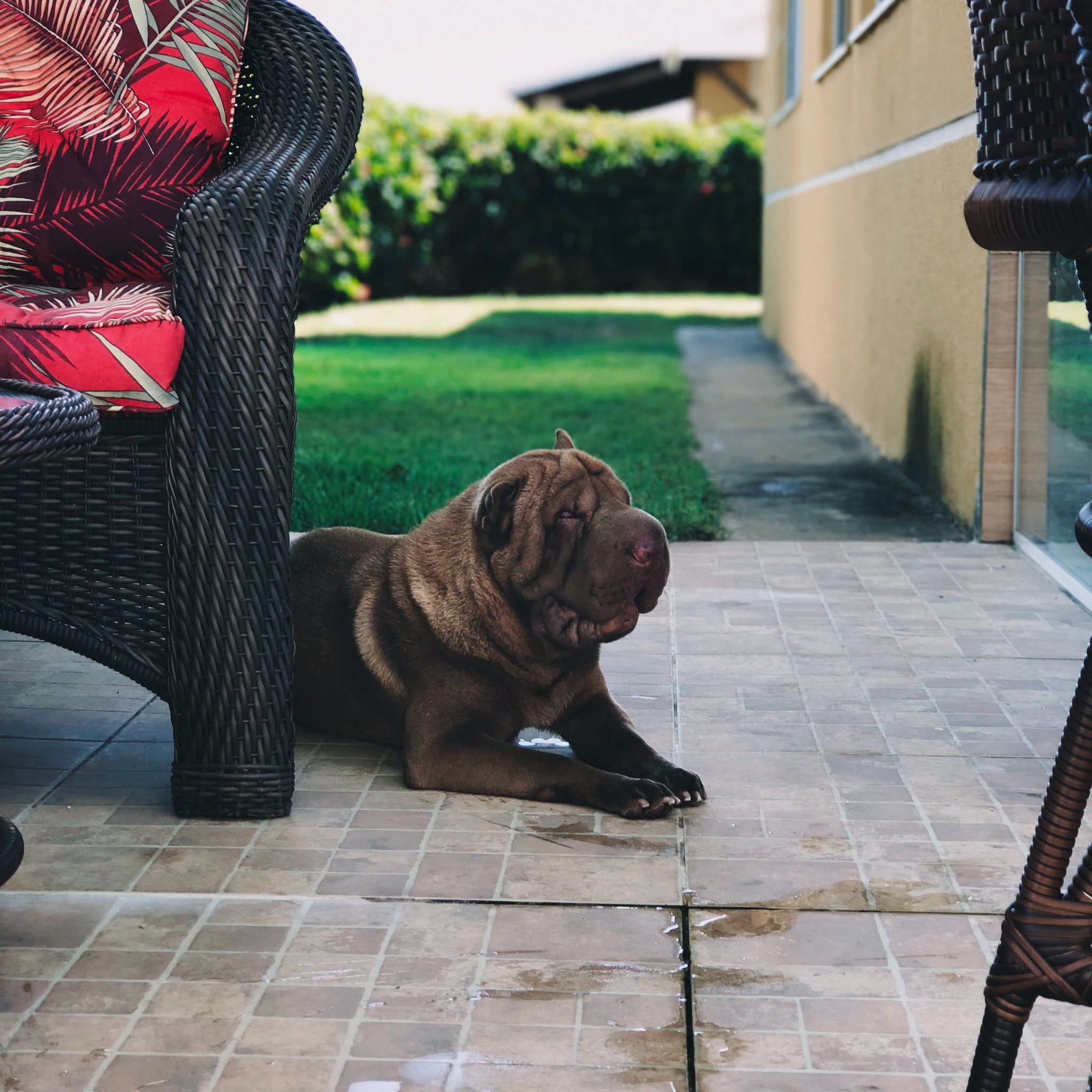 Good's Furniture on Twitter "Let your patio be everyone's favorite