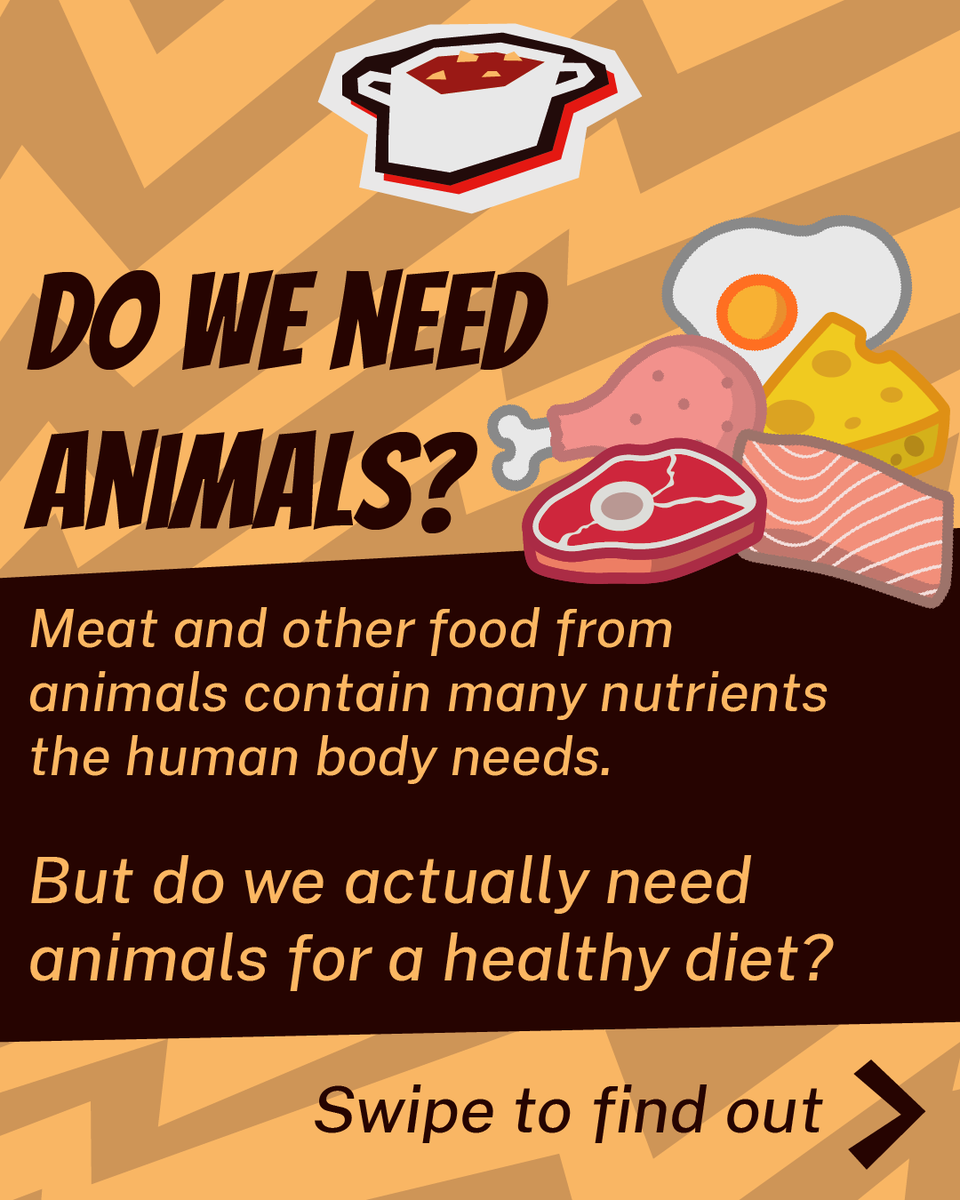 bloomgeist's tweet photo. Do we actually need animals for a healthy diet? 🐮🐷🐔🐟

#foodfact https://t.co/qzaPG9CaR7