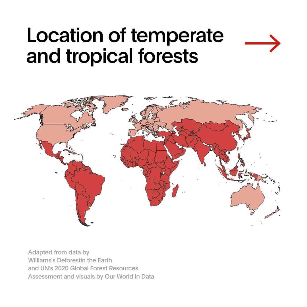 speedandscale's tweet image. Deforestation is an existential threat to our planet, ecosystems, and natural carbon sinks - and our rate of deforestation is far outpacing the rate of forest gains.