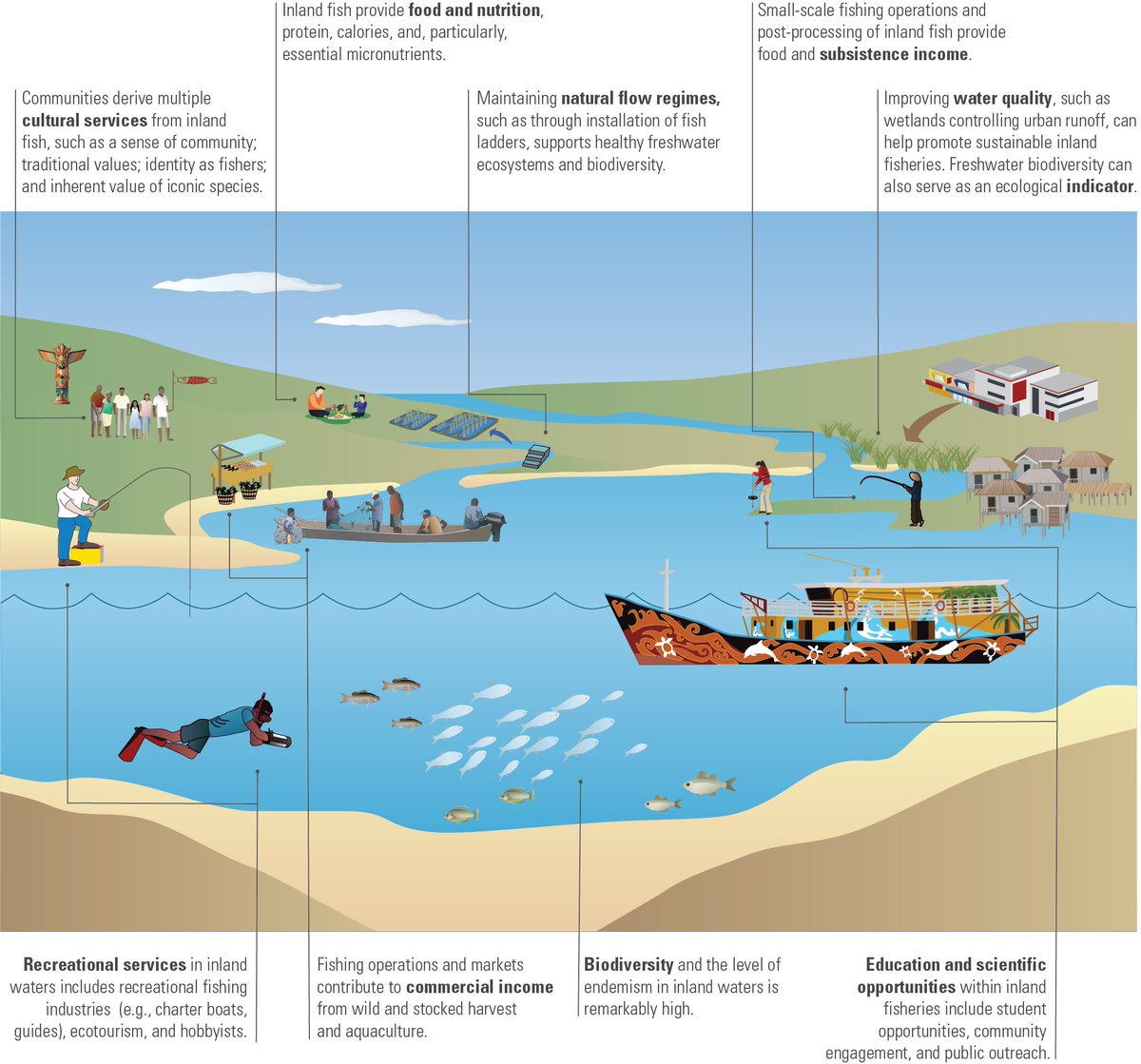 InFish Network tweet media