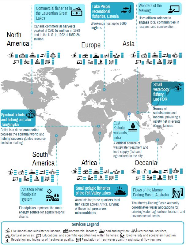InFish Network tweet media