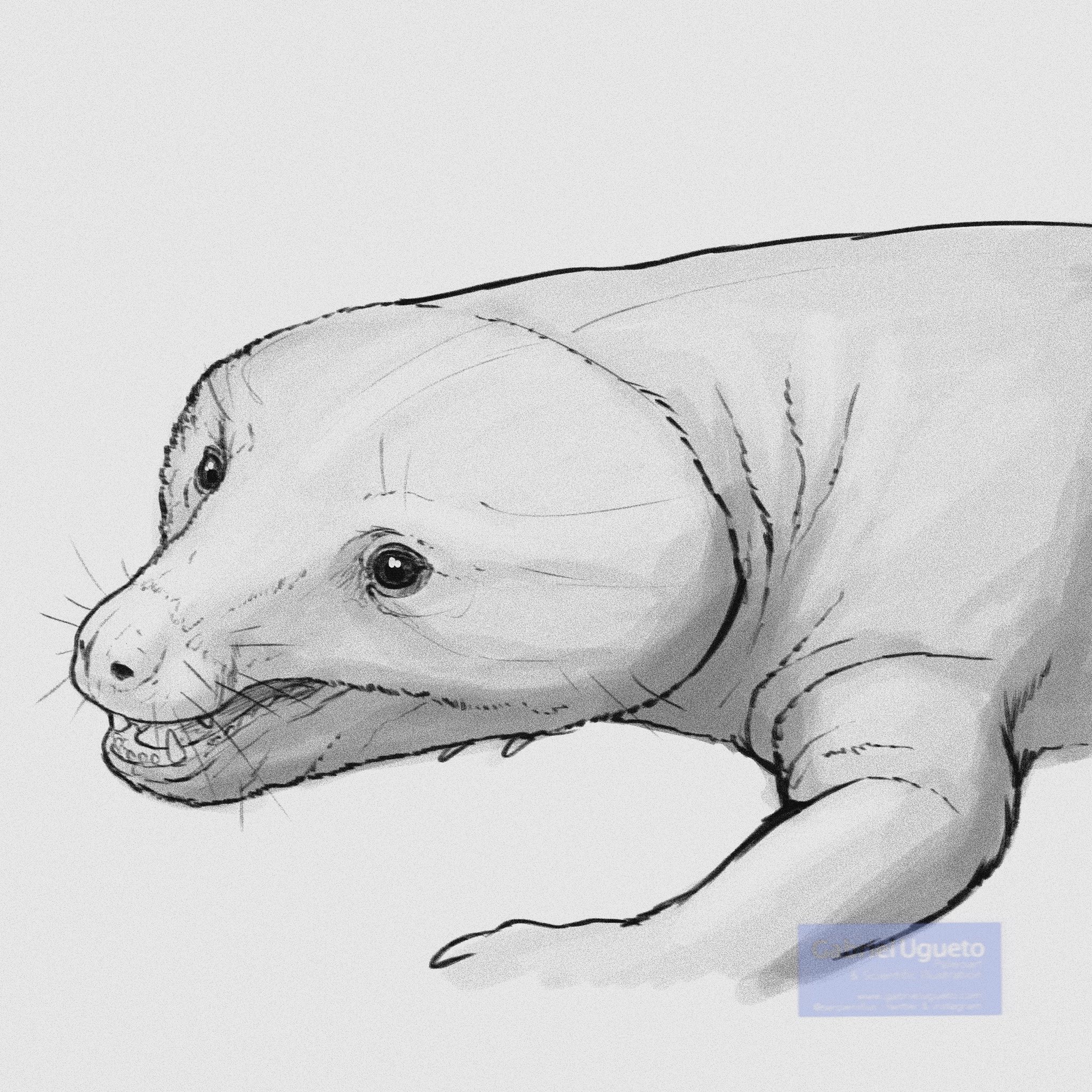 Gabriel N. U. on Twitter 