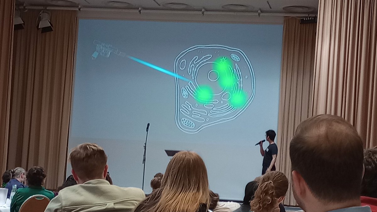 Rainer Kaufmann tweet media