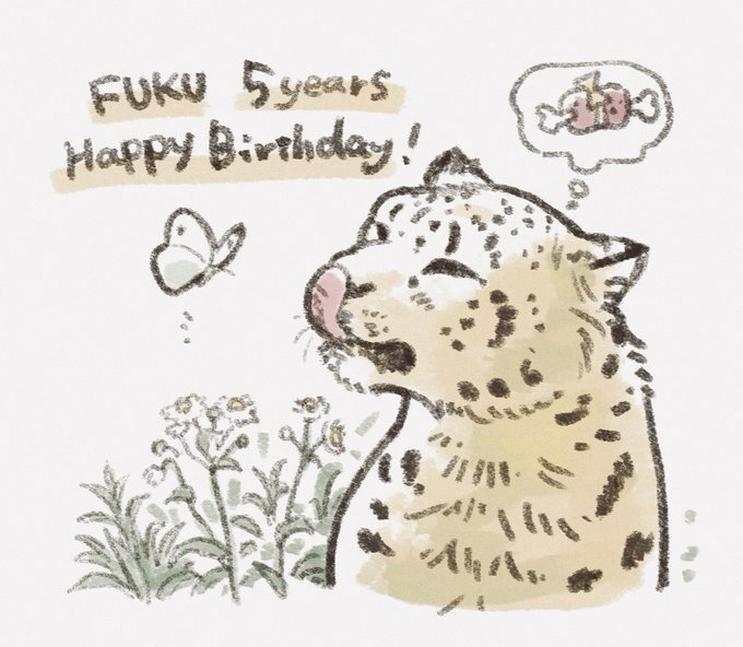 フク5歳おめでとう🎉🍖
遠いけどまた会いに行きたいよ〜
#ユキヒョウ #多摩動物公園 