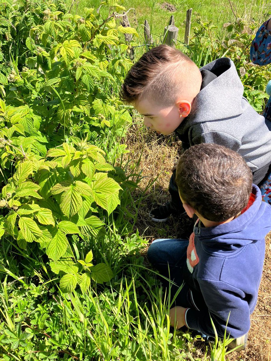 De kleuters zijn op onderzoek geweest in het Koggepark!