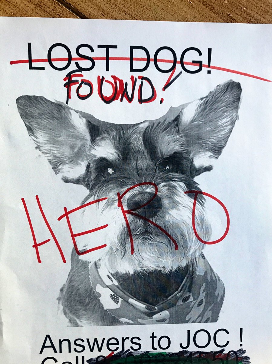 YROverlords's tweet image. So we lost Joc the dog. Then we found Joc the dog. Then we recorded “Hero” I truly hope Mr. Iglesias has a sense of humor. Listen now. On SoundCloud #slowdance #punk #yourrobotoverlords 

soundcloud.app.goo.gl/7xJcsX6jwxH6wJ…