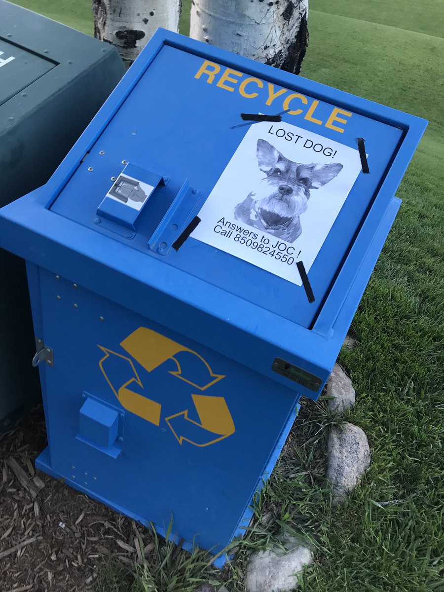 YROverlords's tweet image. So we lost Joc the dog. Then we found Joc the dog. Then we recorded “Hero” I truly hope Mr. Iglesias has a sense of humor. Listen now. On SoundCloud #slowdance #punk #yourrobotoverlords 

soundcloud.app.goo.gl/7xJcsX6jwxH6wJ…