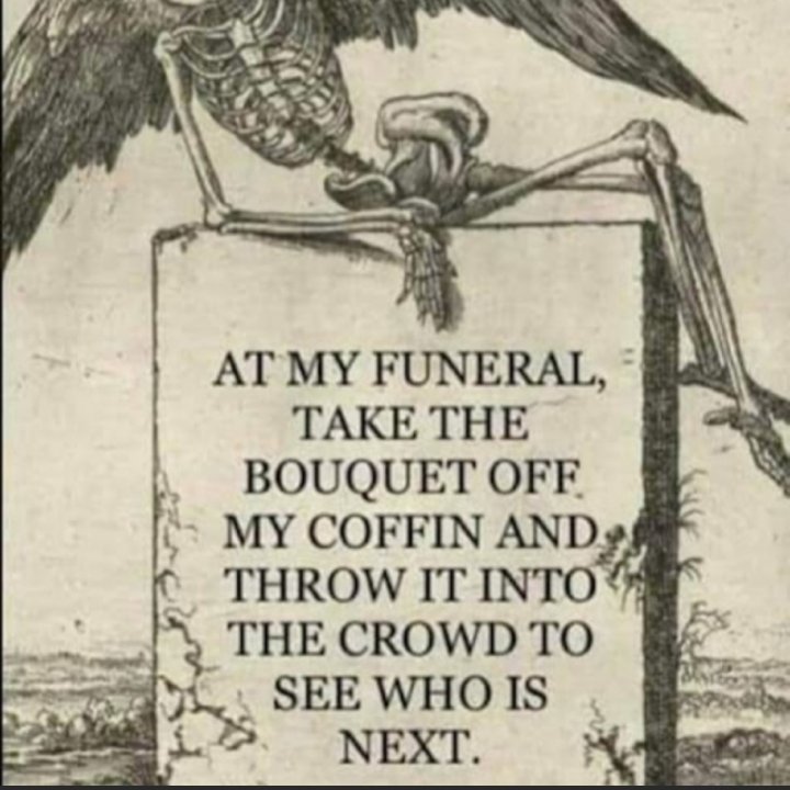 DevLoser's tweet image. 