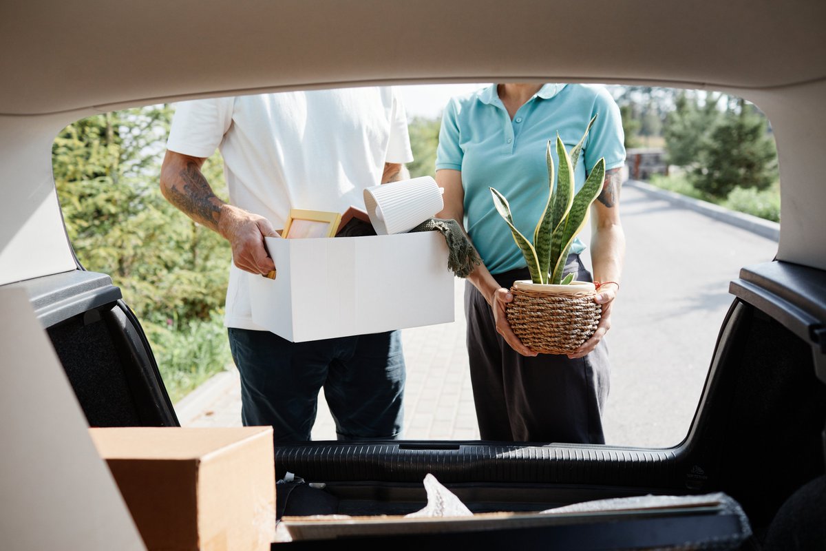 ¿Eres de los que si tuvieran que hacer una mudanza tendría que usar un viaje entero para trasladar sus plantas 🌿🪴? ¿Sí? ¡Eres de los nuestros!

#Asturias #Aviles #Diversión #Faithful #Findesemana #Gastronomía #Gijon #Gratitude #Guidance #Ocio #Oviedo #Positivismo #Relax #plants