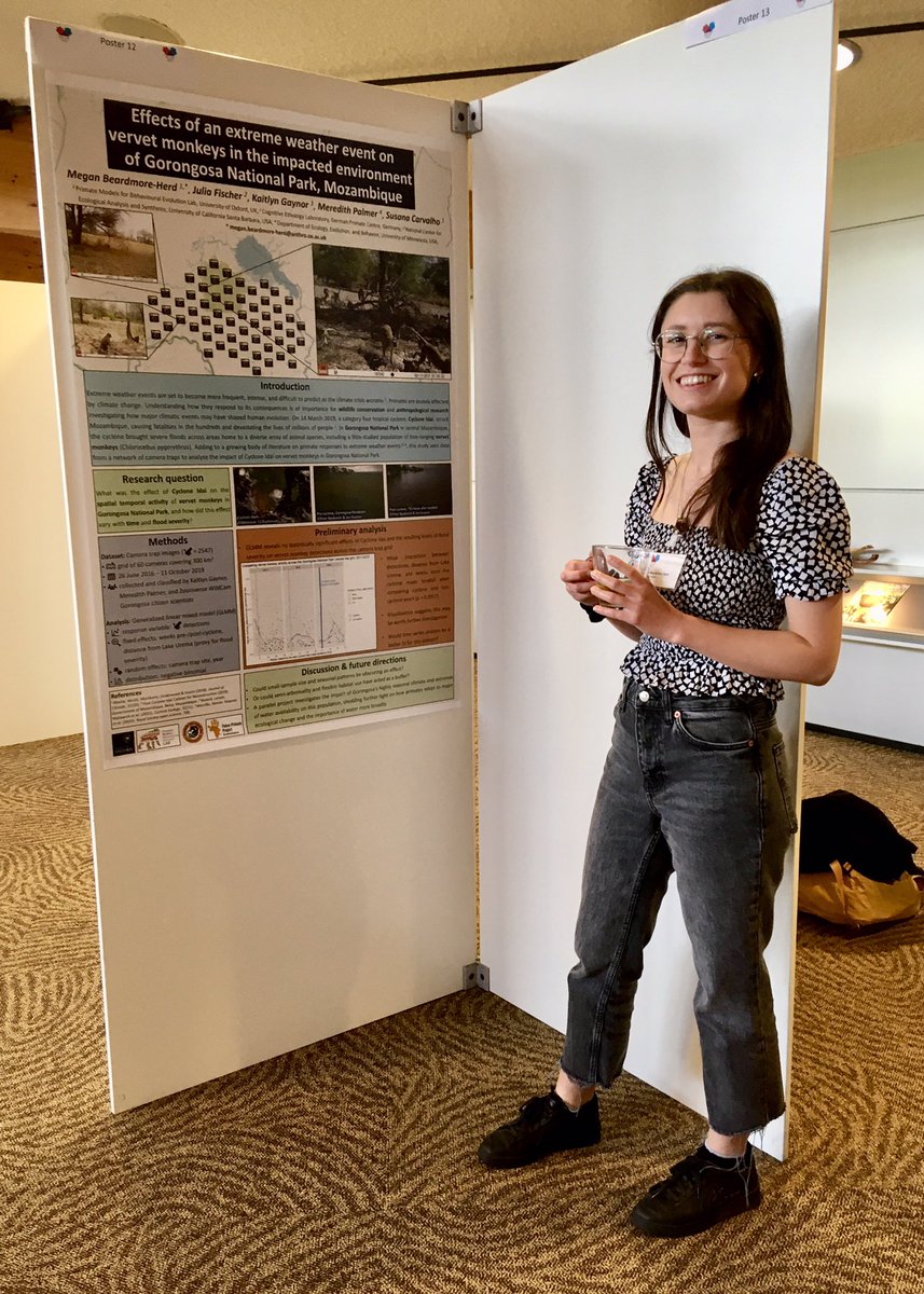 Fancy some coffee break bite-sized research? Check out @M_BeardmoreHerd poster 1️⃣2️⃣ exploring how @GorongosaPark vervets responded to an extreme weather event (cyclone Idai) #EFP_GfP2022 @EFP_GfP2022 @oxford_anthro @gorongosasci @Oxford_HumSci