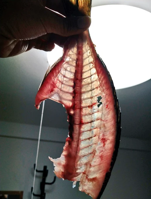 だいぶ慣れたな 
