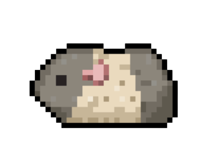 MetaPixelland's tweet photo. pixel guinea pig
Mob Type: legendary
Price:
1 available
opensea : https://t.co/5sgpCGxmFS

Choose a pet based on your taste so that each of your purchases is spent on advertising and project development
#NFT #Nfts #NFTCommunity #NFTcollectibles #NFTdrop #NFTgiveways #nftpixelart https://t.co/EebMshtwqw