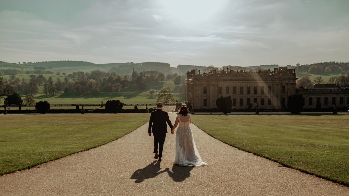 Book Monster Ally tweet media