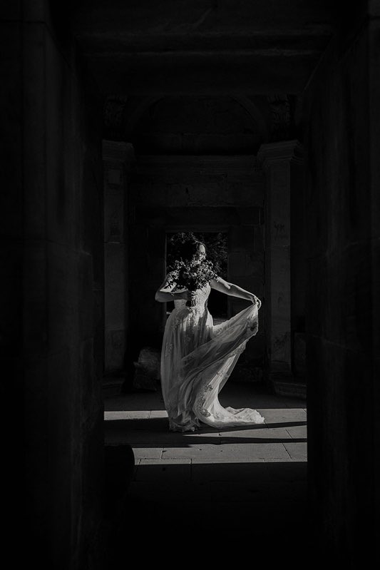 Book Monster Ally tweet media