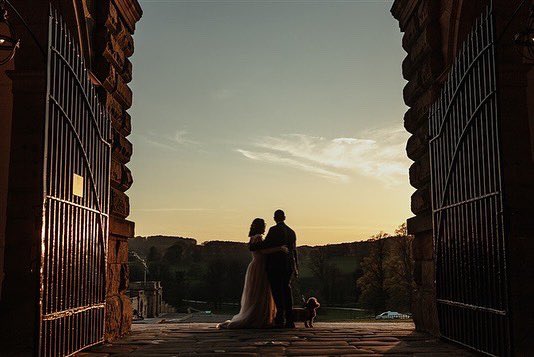 Book Monster Ally tweet media