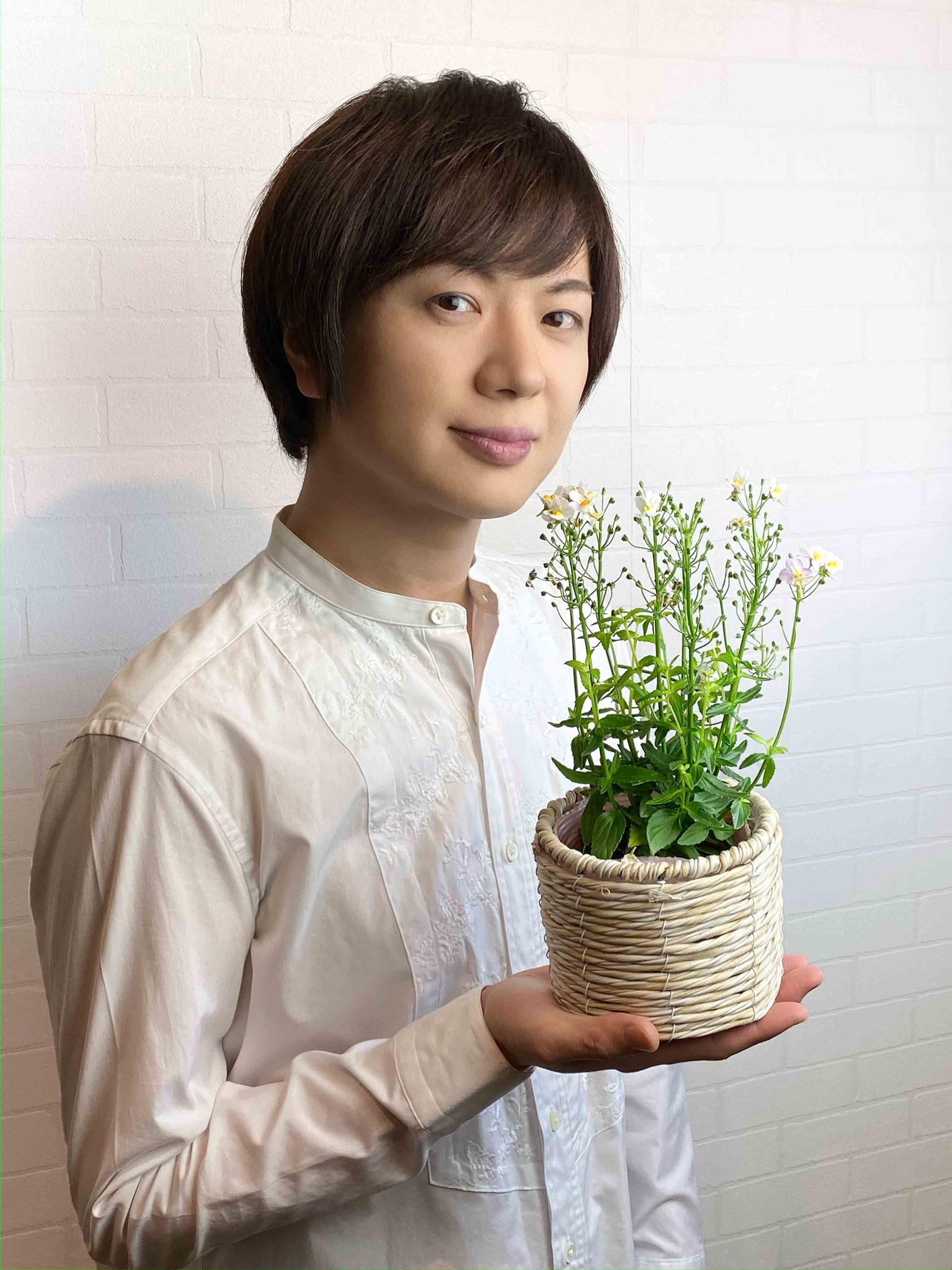 טוויטר 竹島宏スタッフ 公式 בטוויטר ネメシア レモンパイ 花言葉は 偽りのない心 食後のデザートにいかがですか なんて なんて ナンチャッテ 自分の心の声を大切に 今日も１日お疲れ様でした ひろネット 花言葉 花便り 花 ネメシアレモンパイ