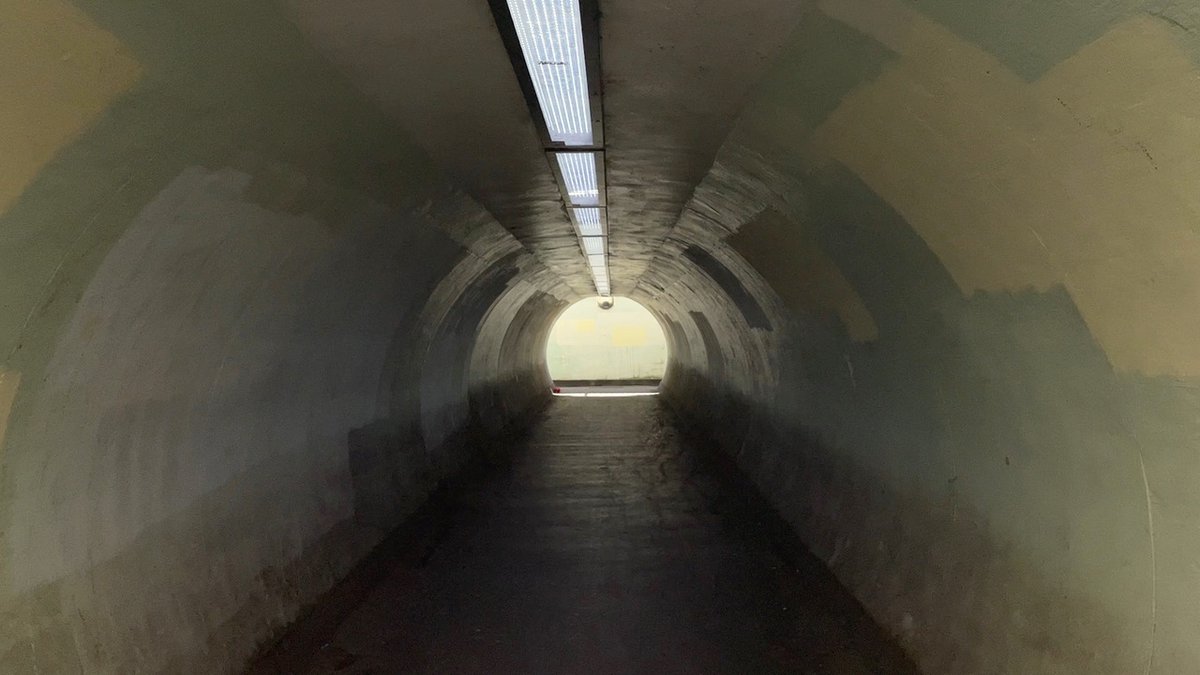 a10_live tweet media