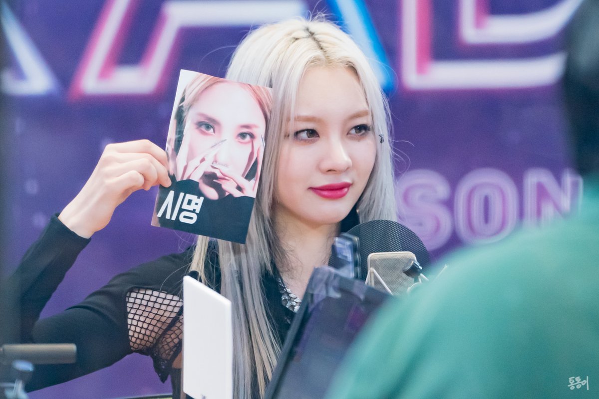 Tong-Tong 통통이 tweet media