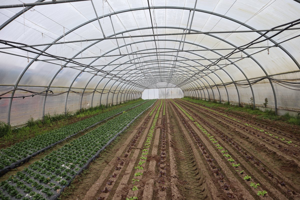 Irrigation : après de nombreuses demandes de la part de maraîchers, la préfète de l'Ain, Cécile Bigot-Dekeyzer, vient de concéder à leur assouplir certaines restrictions en matière d'utilisation et de prélèvement de l'eau sur le secteur "Dombes-Sud". 
👉 lainagricole.fr/articles/previ…..